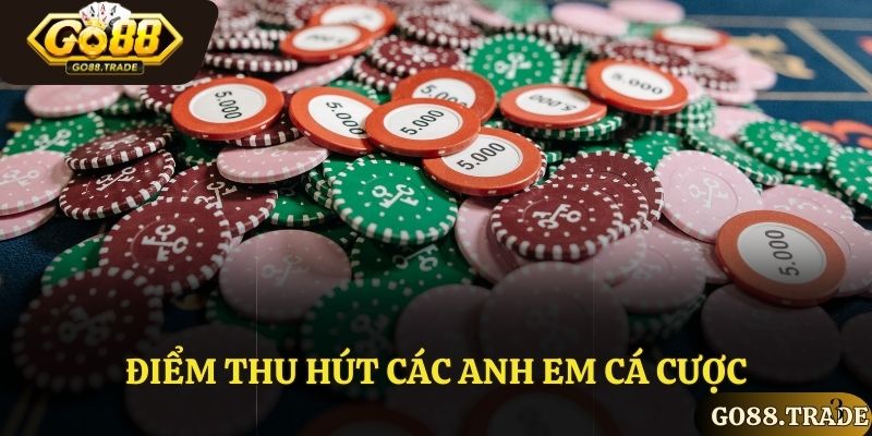 Điểm thu hút các anh em cá cược 