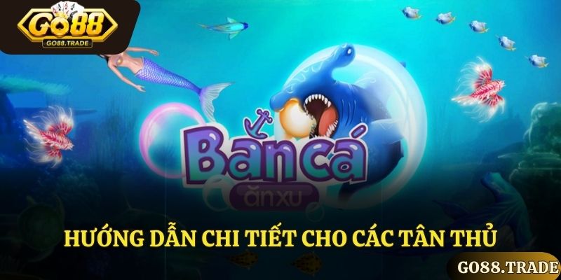 Hướng dẫn chi tiết cho tân thủ